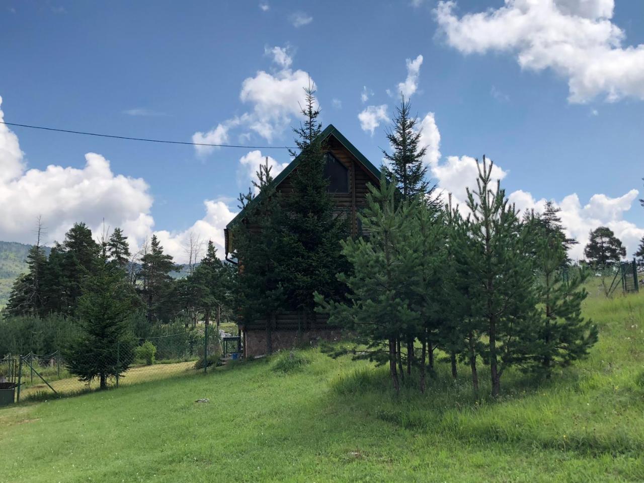 Kuca U Borju - House In Pines Appartement Žabljak Buitenkant foto