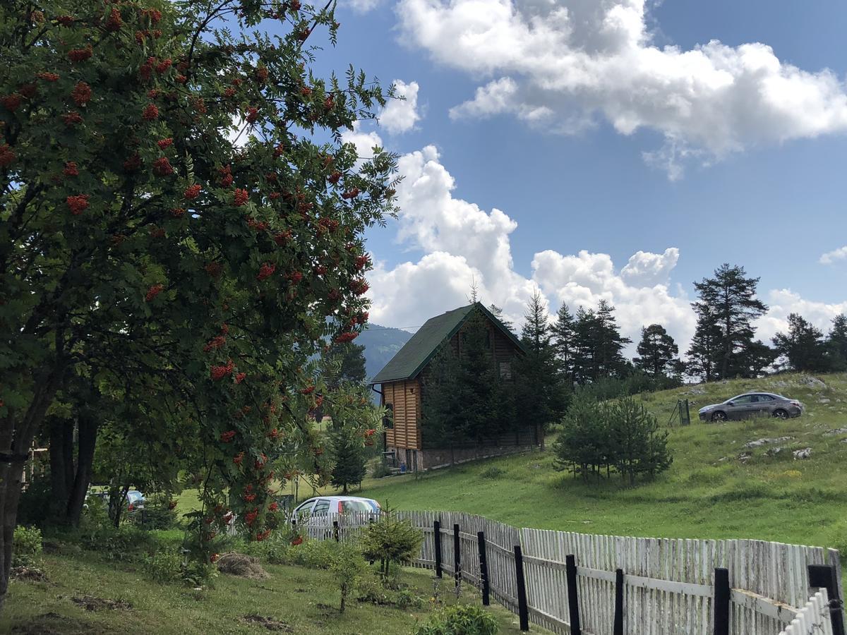 Kuca U Borju - House In Pines Appartement Žabljak Buitenkant foto